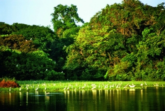 Amazon Boat Ecolodge